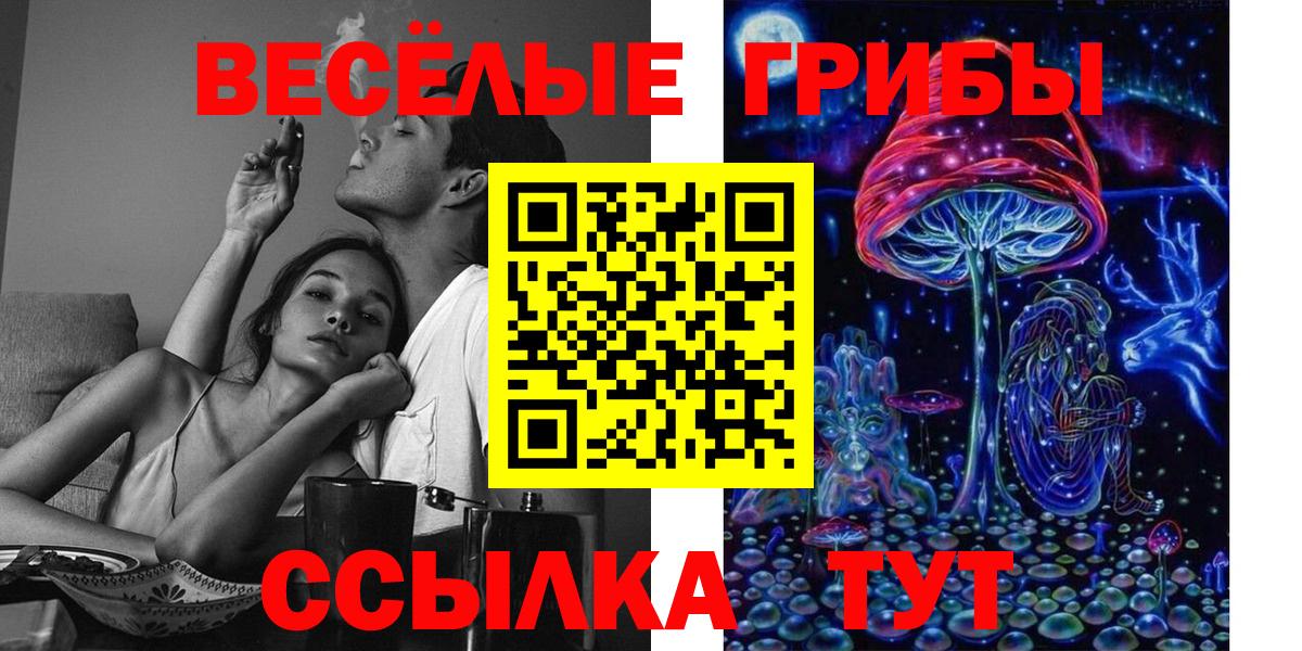 Надым  Псилоцибиновые грибы Psilocybe  Вход с VPN  Псилоцибиновые грибы Cubensis 